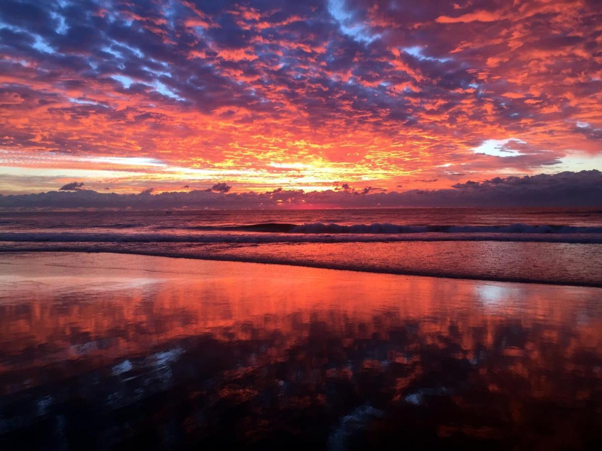 Absolutely Stunning! On The Beach !!! Gold Coast Buitenkant foto